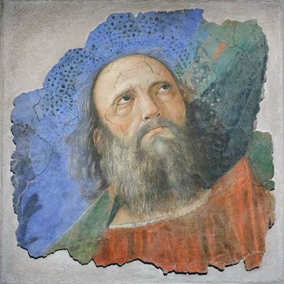 Apostolens hode, ca. 1480 (fresco) av Melozzo da Forli