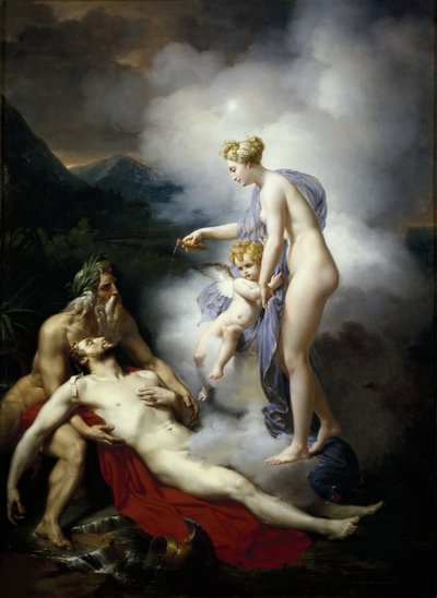 Venus som heller balsam på Aeneas