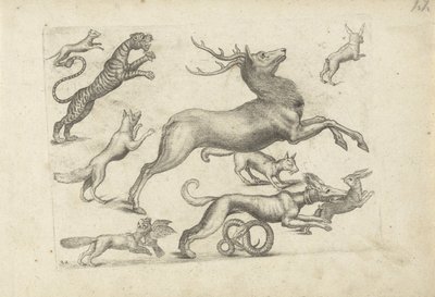 Studieark med tegningseksempler: ulike dyr av Michael Snijders (attributed to)
