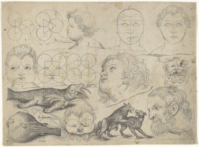Studieark med tegningseksempler: figurer, dyr Tegningseksempler (serietittel) av Michael Snijders