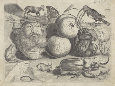 Studieark med tegningseksempler: portretter, dyr, insekter Tegningseksempler (serietittel) av Michael Snijders