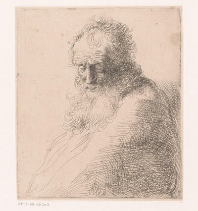 Byste av en gammel mann med skjegg av Michael Willmann (attributed to)