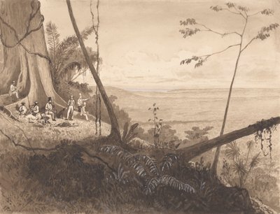 Cedar Point, Mount Tamana av Michel Jean Cazabon