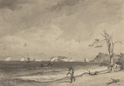 Los Gallos, Icacos Bay av Michel Jean Cazabon