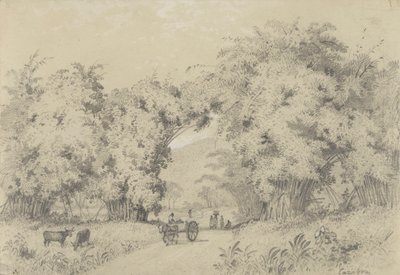 Veien til St. Ann's av Michel Jean Cazabon