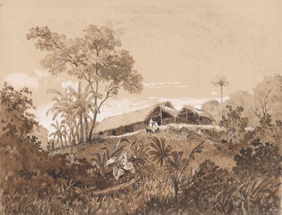 Hytta, Mount Tamana av Michel Jean Cazabon