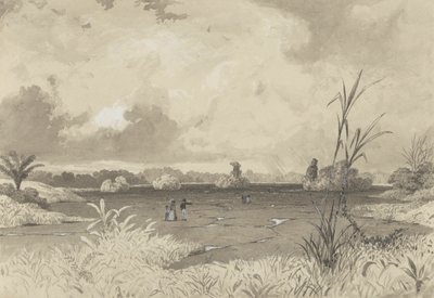 The Pitch Lake av Michel Jean Cazabon