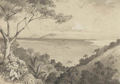 Utsikt fra Laventille Hill av Michel Jean Cazabon