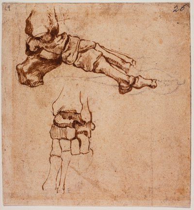  av Michelangelo (after) Buonarroti