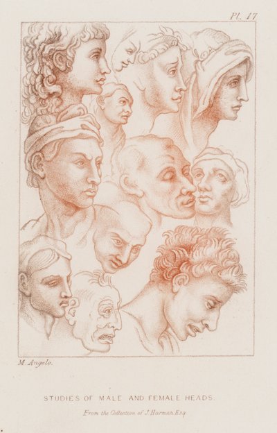 Studier av mannlige og kvinnelige hoder (etsing) av Michelangelo (after) Buonarroti