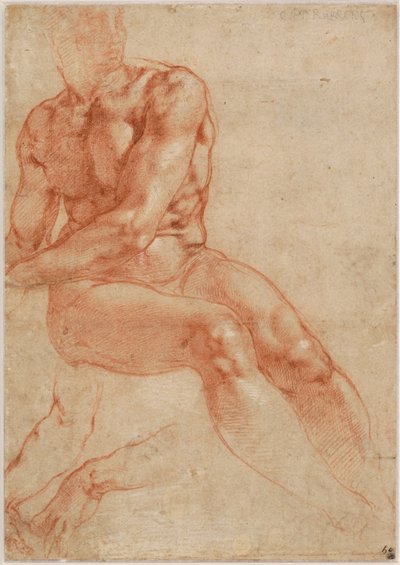  av Michelangelo