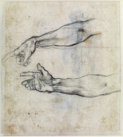  av Michelangelo Buonarroti