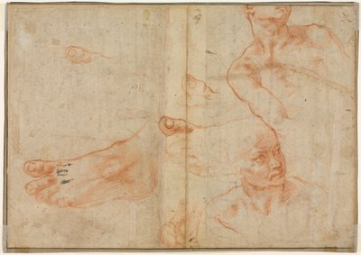 Figurstudier for det sixtinske taket (verso) av Michelangelo Buonarroti