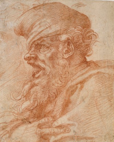Hodet til en skjegget mann som roper, 1500-tallet av Michelangelo Buonarroti