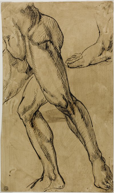 Ben og føtter av naken mann av Michelangelo Buonarroti