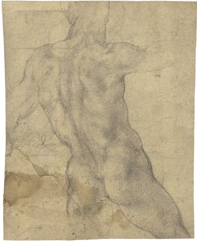 Naken mann av Michelangelo Buonarroti