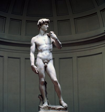 Michelangelos David, 1500-tallet av Michelangelo Buonarroti