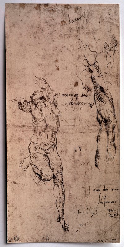 Naken mann, armstudie Tegning av Michelangelo Buonarroti dit Michelangelo (Michelangelo eller Michel Ange av Michelangelo Buonarroti