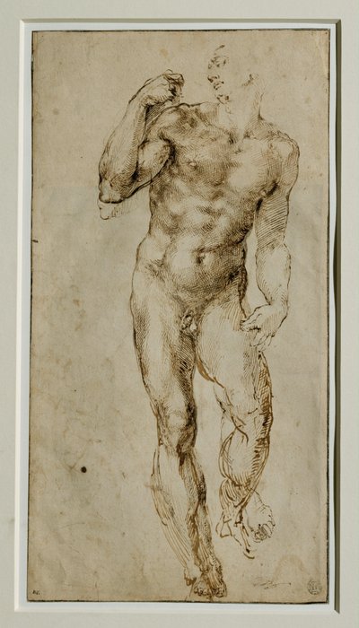  av Michelangelo Buonarroti