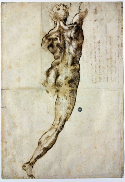 Naken bakfra, ca. 1504 av Michelangelo Buonarroti