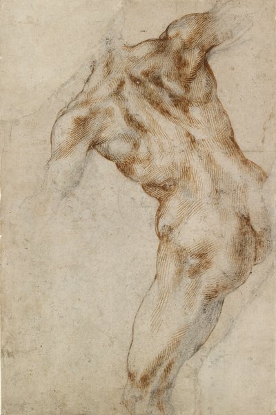 Naken hann Torso, tidlig på 1500-tallet av Michelangelo Buonarroti