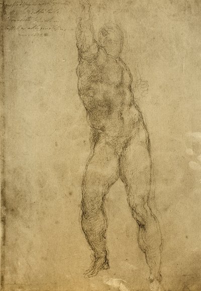 Nakenstudie, tegning av Michelangelo. Gallerie dellAccademia, Venezia av Michelangelo Buonarroti