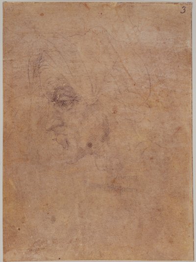  av Michelangelo Buonarroti