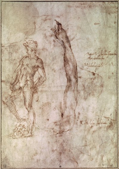 Studie for David (penn og blekk på papir) av Michelangelo Buonarroti