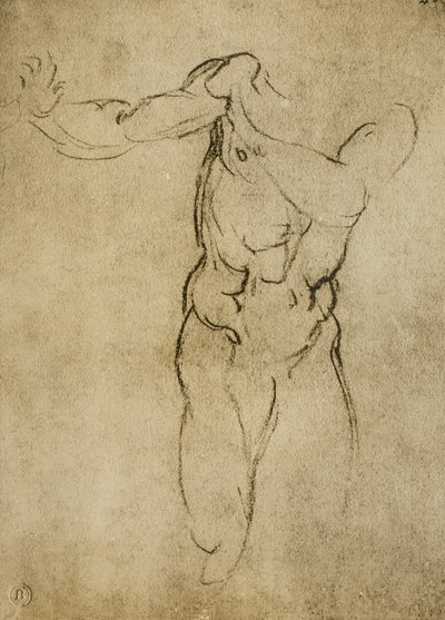 Studie for en maskulin byste, tegning av Michelangelo. Casa Buonarroti, Firenze av Michelangelo Buonarroti