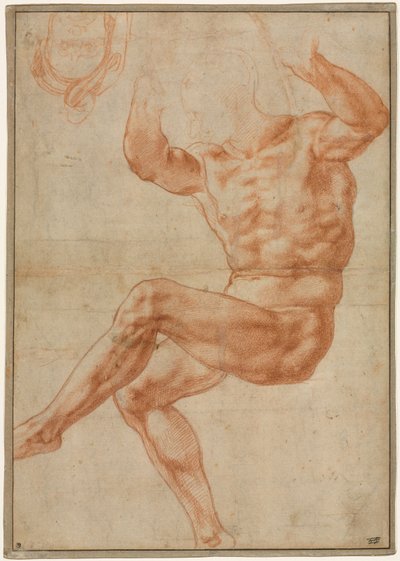 Studie for naken ungdom over profeten Daniel (recto) av Michelangelo Buonarroti