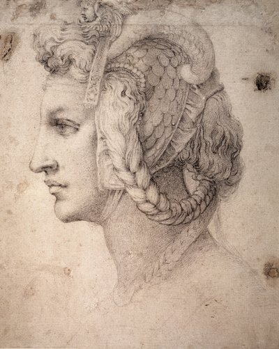 Studie av hodet av Michelangelo Buonarroti