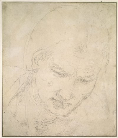 Studie av et hode (svart kritt på hvitt papir) av Michelangelo Buonarroti