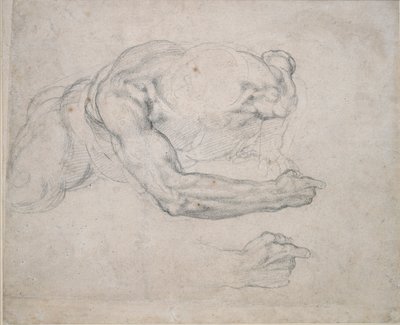 Studie av en mann som reiser seg fra bakken, 1500-tallet av Michelangelo Buonarroti