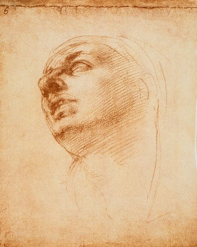 Studie av et ansikt, tegning av Michelangelo. Casa Buonarroti, Firenze av Michelangelo Buonarroti