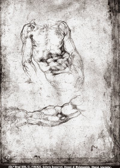 Studie av en mannlig torso og arm av Michelangelo Buonarroti