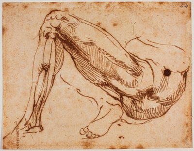  av Michelangelo Buonarroti