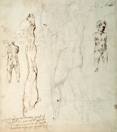 Studie av Kristusbarnet og en anatomisk tegning med notater (svart kritt og brunt blekk på papir) (verso) av Michelangelo Buonarroti
