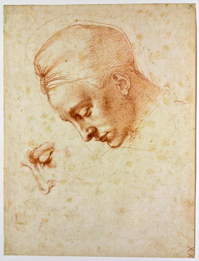 Studer til lederen av Leda, ca 1530 av Michelangelo Buonarroti
