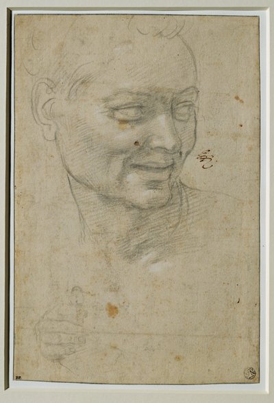  av Michelangelo Buonarroti