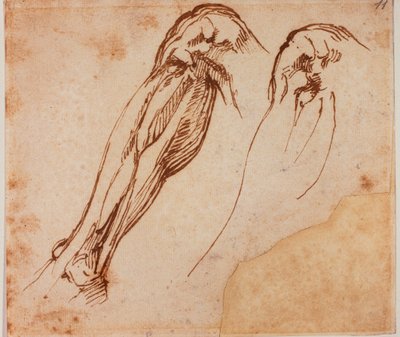  av Michelangelo Buonarroti