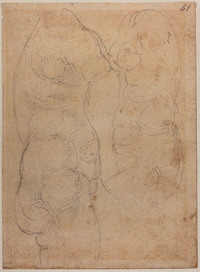  av Michelangelo Buonarroti