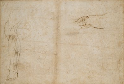 Verso: Studier av en manns ben, c1490-1560 av Michelangelo Buonarroti