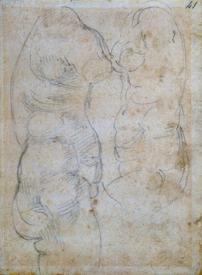 To studier basert på en gammel kvinnes overkropp av Michelangelo Buonarroti