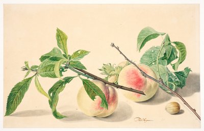 Stilleben med fersken og hasselnøtter av Michiel Van Huysum
