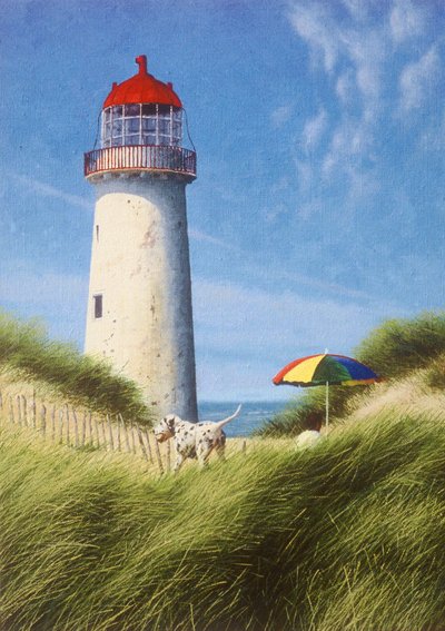 Dag i sanddynene av Mike Briscoe