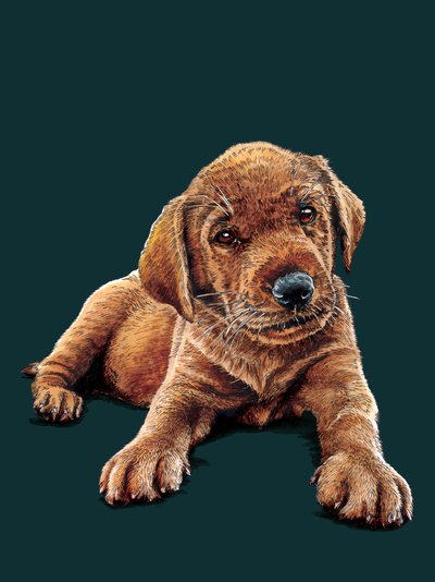 Marge The Puppy på Deep Cyan, 2021 av Mike Davis