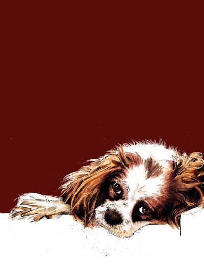 Meg The Spaniel on Red Oxide, 2020 av Mike Davis