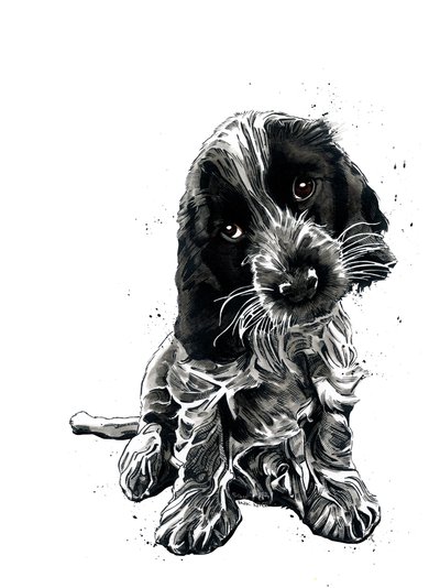 Rosie The Cocker Spaniel på hvitt, 2019 av Mike Davis