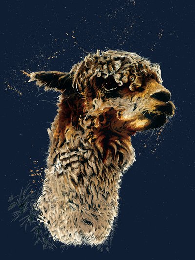 The Alpaca on Midnight Blue, 2020   1421636   no       norwegian Successfully Translated  Original: Summer night in Åsgårdstrand Translat: Summer night in Åsgårdstrand 1318961 no norwegian Successfully Translated Original: Faldne engle (fra en dommedagskom av Mike Davis