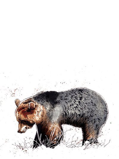 The Bear on White, 2020 av Mike Davis